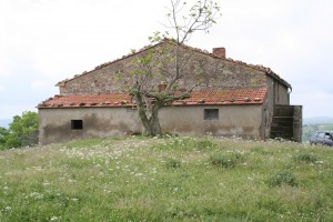 Azienda agricola con panorama sull'argentario